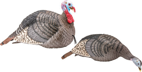 HS STRUT TURKEY DECOY COMBO