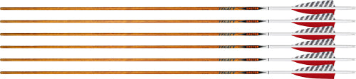 EASTON ARROW 6.5 CARBON LEGACY