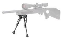 CHAMPION ROCK MOUNTAIN BI-POD