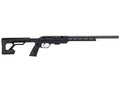 SAVAGE 64 PRECISION 22LR RFL BLK 10