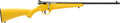 Savage Arms 13805 Rascal  Youth 22 LR 1rd 16.13" Matte Black Sporter Barrel, Matte Black Carbon Steel Receiver, Yellow F
