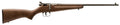 Savage Arms 13815 Rascal  Youth 22 LR 1rd 16.13" Matte Black Sporter Barrel, Matte Black Carbon Steel Receiver, Satin Br