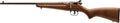 Savage Arms 13820 Rascal  Youth 22 LR 1rd 16.13" Matte Black Sporter Barrel, Matte Black Carbon Steel Receiver, Satin Br