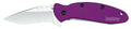 Kershaw 1620PUR Scallion  2.40" Folding Drop Point Plain Bead Blasted 420HC SS Blade Purple Anodized Aluminum Handle Inc