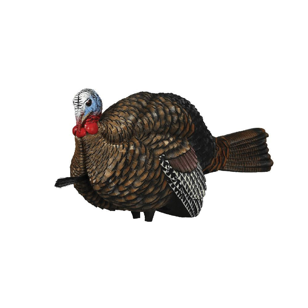 AVIAN X LCD - 1/2 STRUT JAKE
