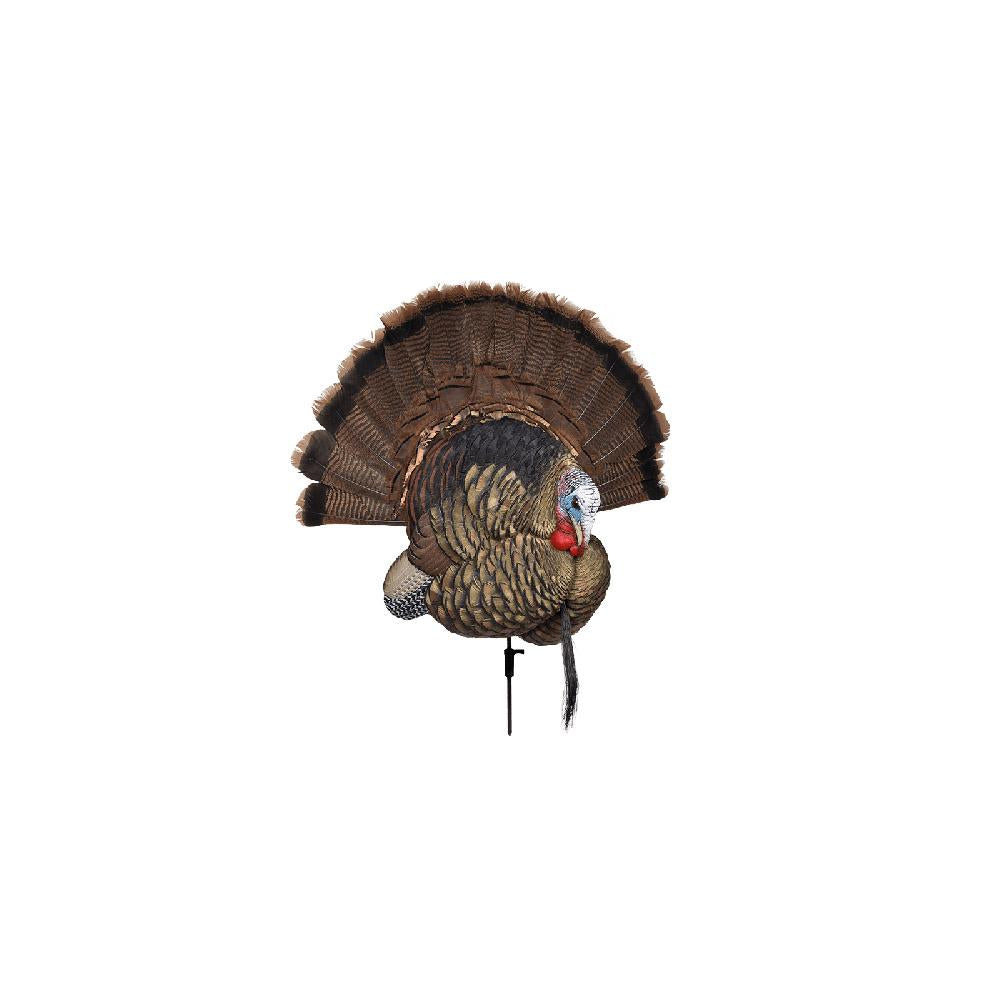 AVIAN X TROPHY TOM
