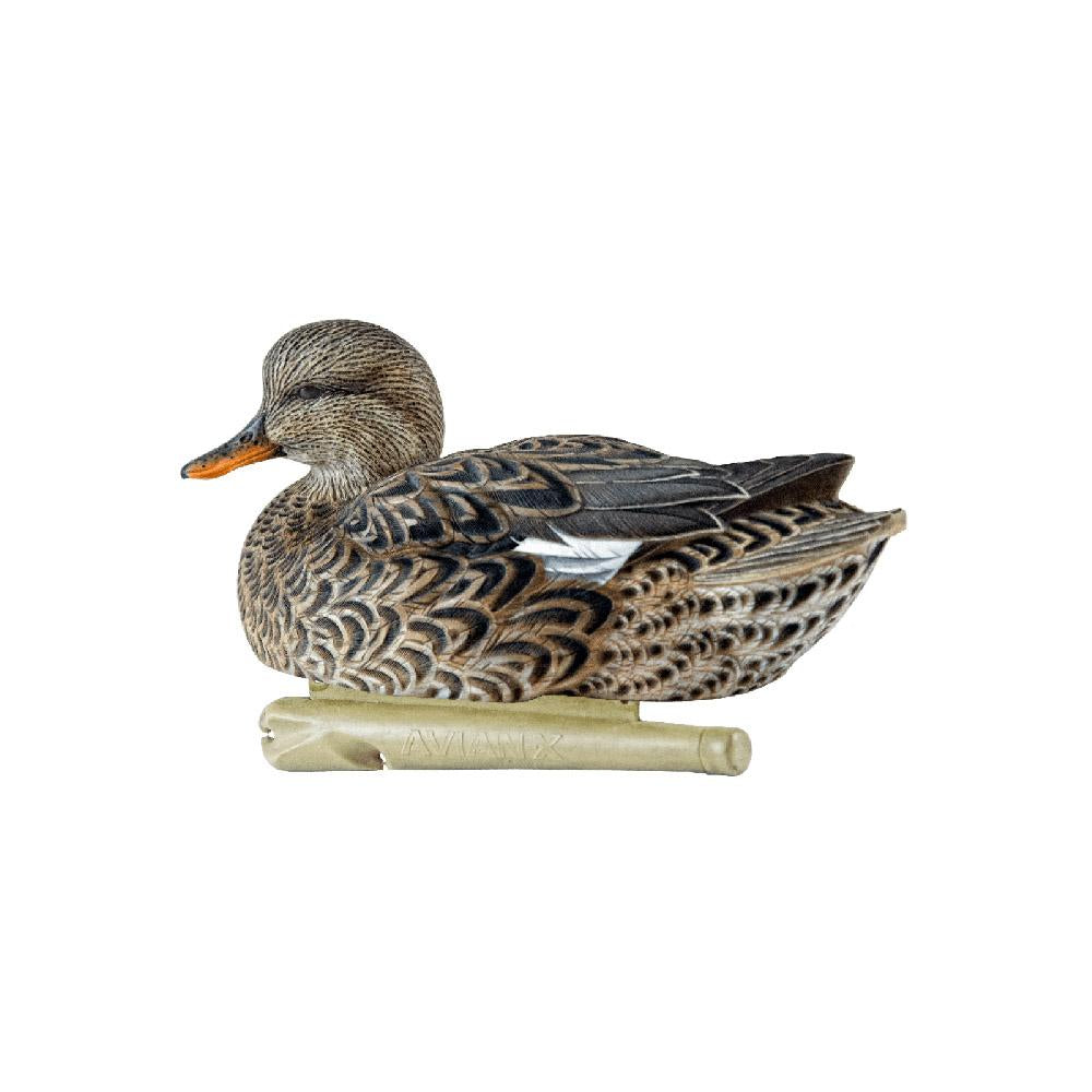 AVIAN X TOP FLIGHT GADWALL