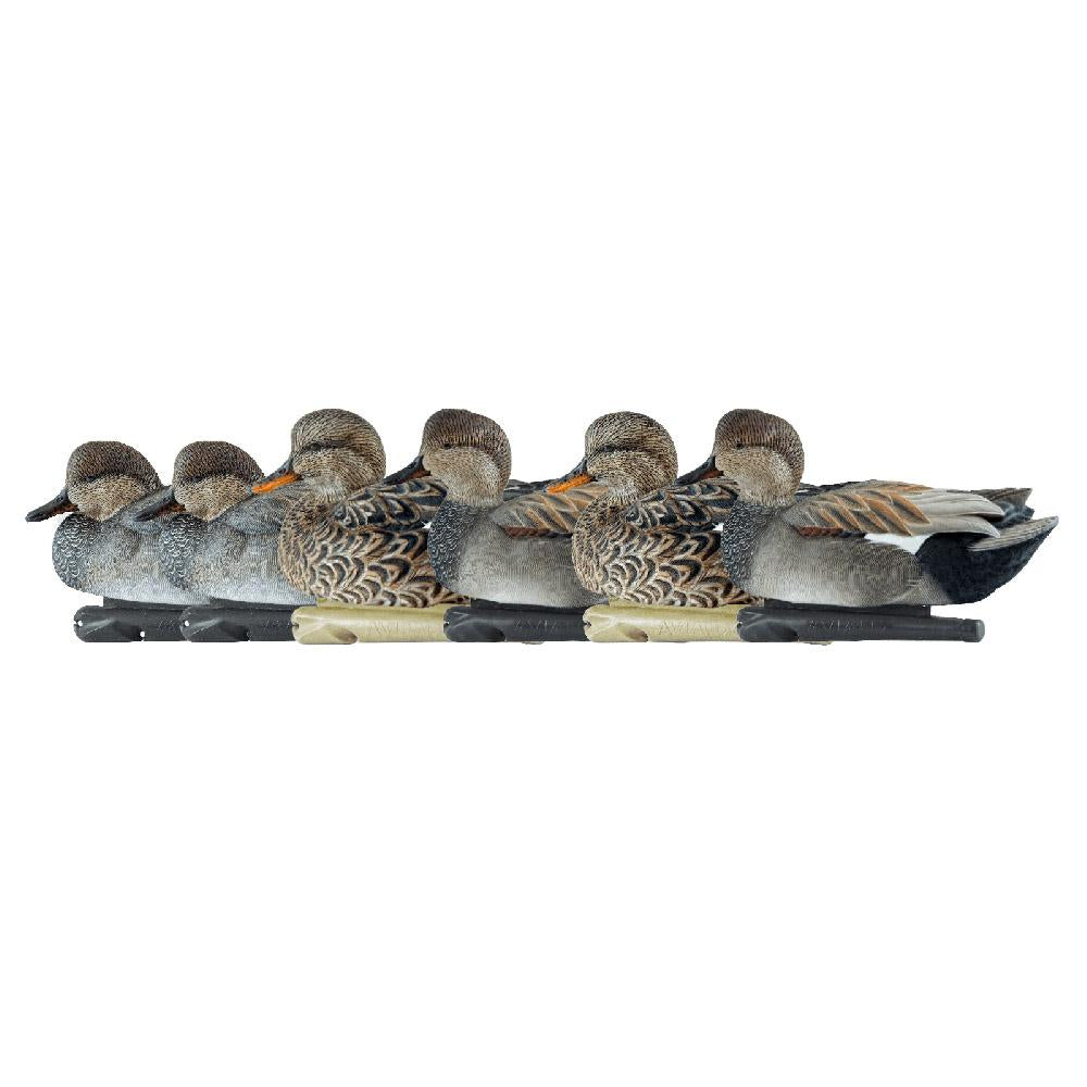 AVIAN X TOP FLIGHT GADWALL