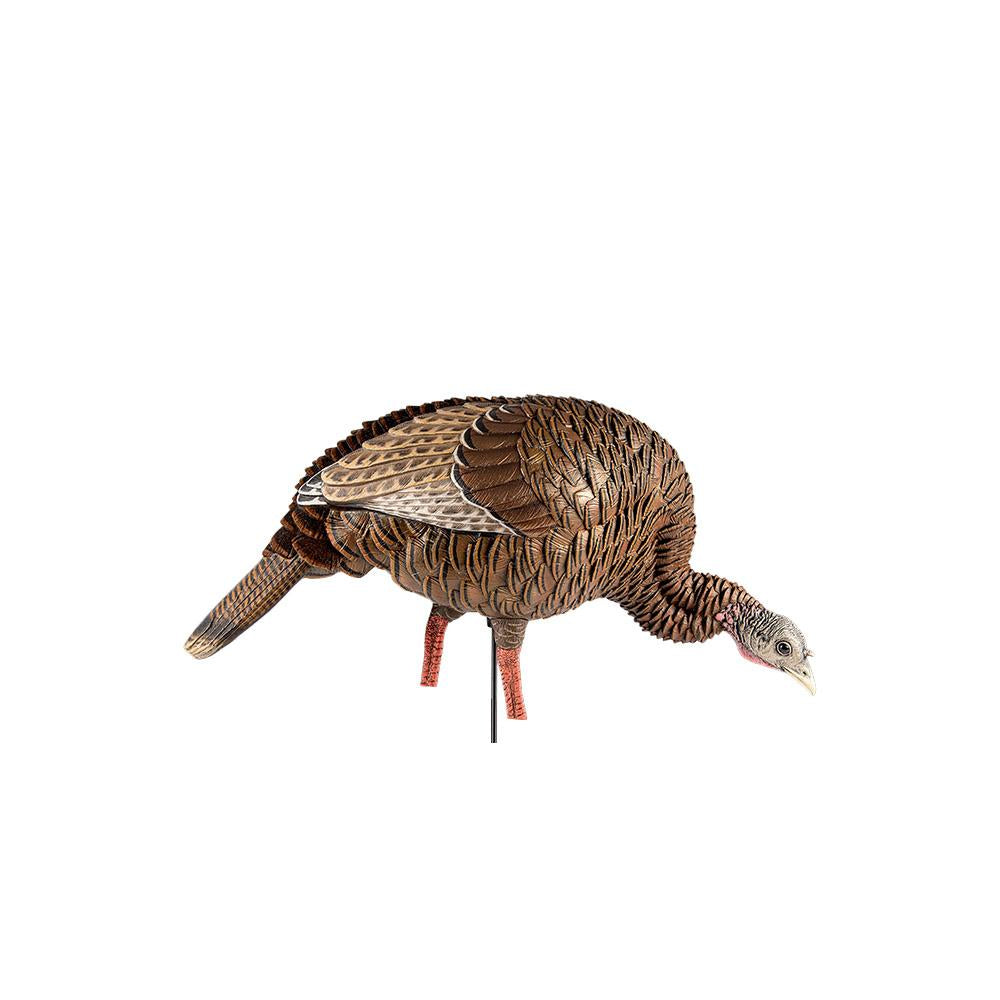 AVIAN X AVX HDR FEEDING HEN