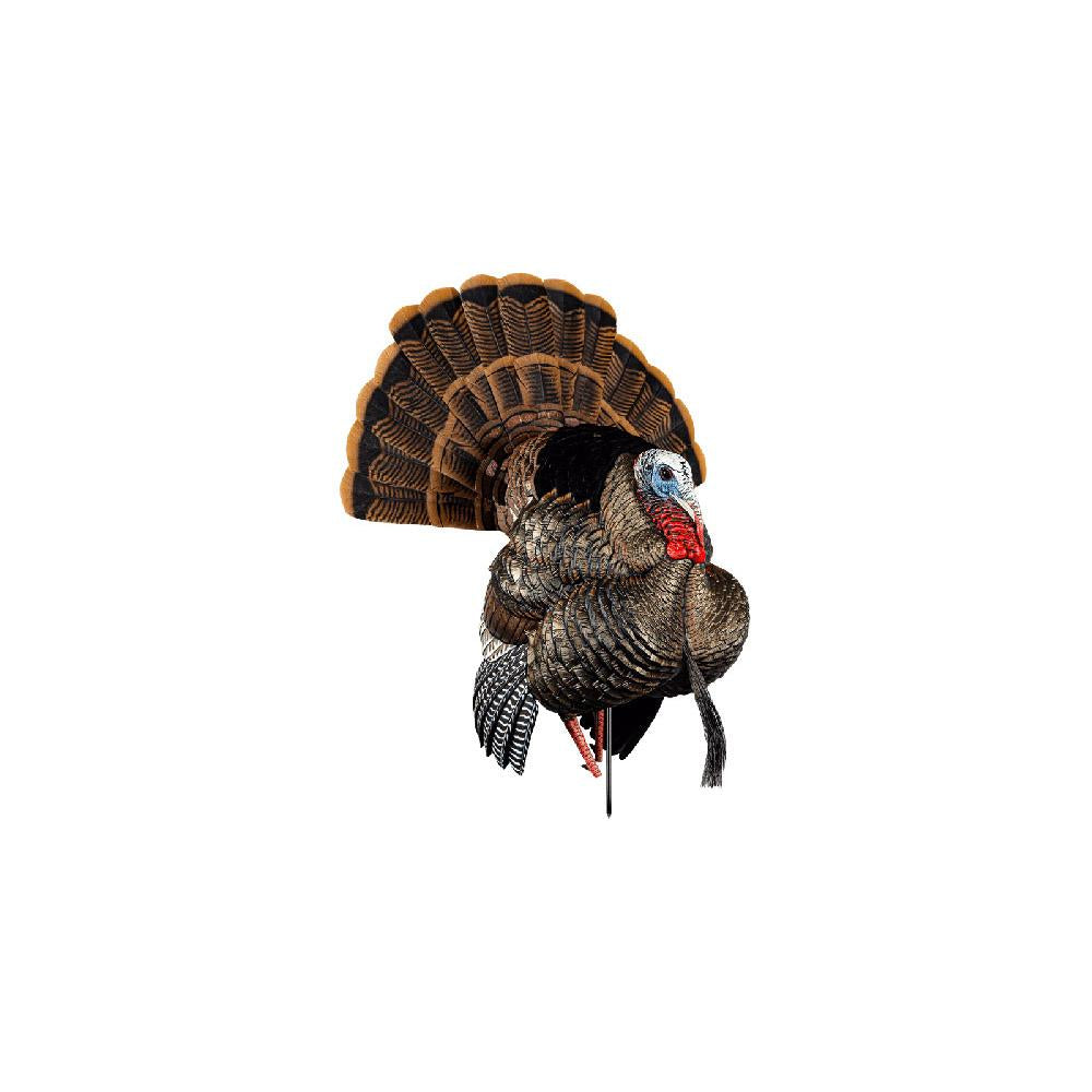 AVIAN X HDR STRUTTER
