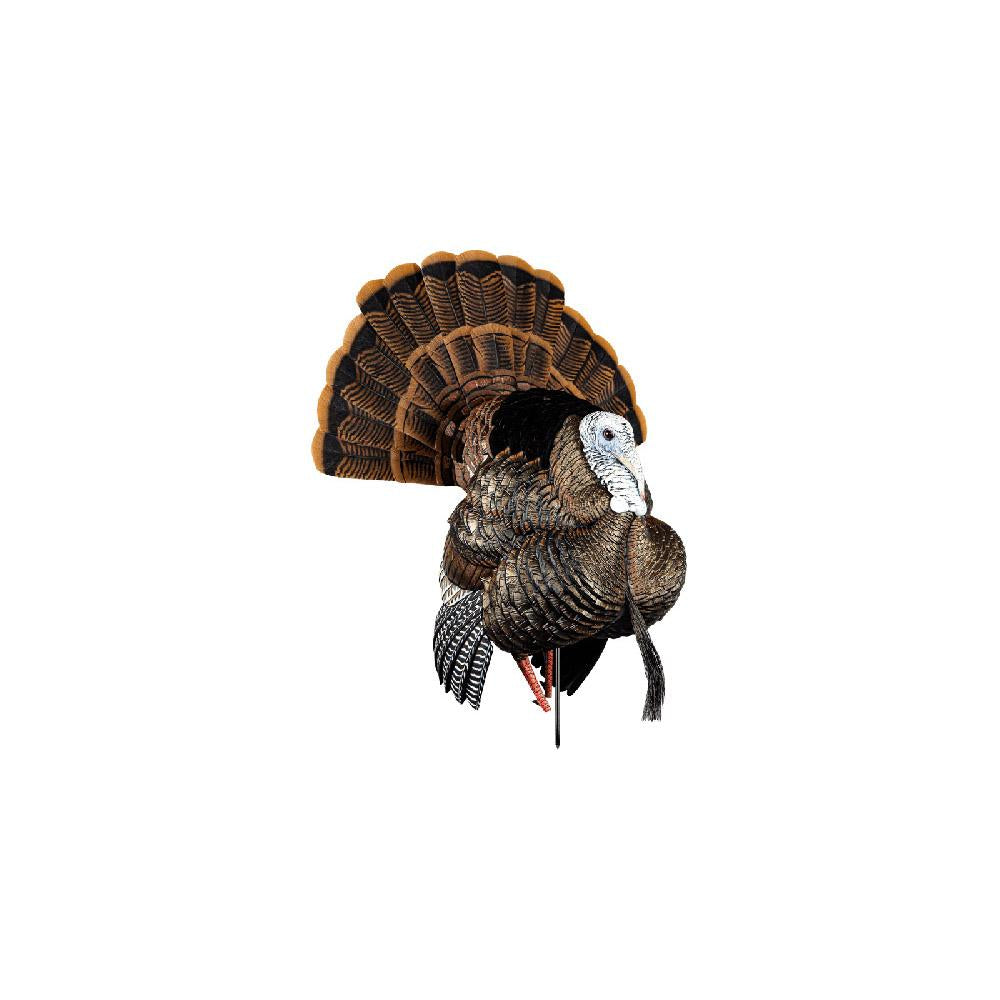 AVIAN X HDR STRUTTER