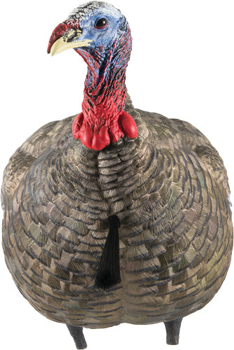 AVIAN X LCD QUARTER STRUT JAKE