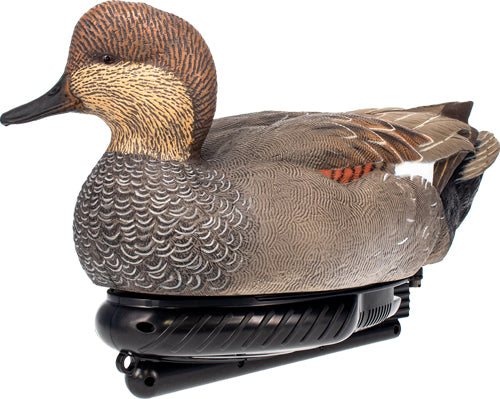 AVIAN X POWER SWIMMER GADWALL