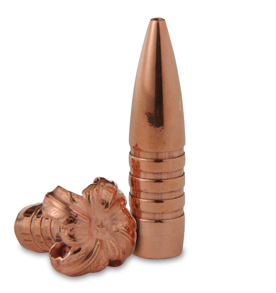 BARNES TSX 458 CAL.458 300GR FB 20ct