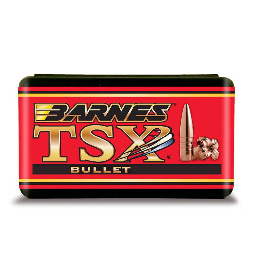 BARNES TSX 450 BUSHMASTER CAL.451 275GR TSX FB 20ct