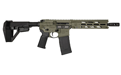 DBF DB15OBS 300BLK 10" ODG BRC BLEM