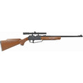 Daisy Powerline 880 w/ Scope, Air Rifle, 177 Pellet/BB, 800 Feet Per Second, Black Color