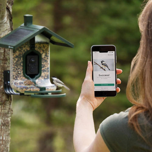 FEATHERSNAP SCOUT BIRDFEEDER