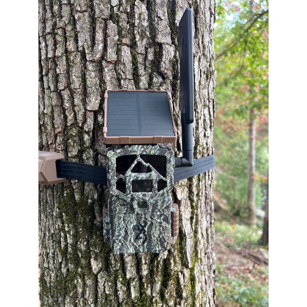 Browning Trail Camera Security Tree Strap with Embedded Steel Cables