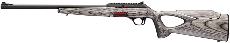 WINCHESTER WILDCAT 22LR 18"