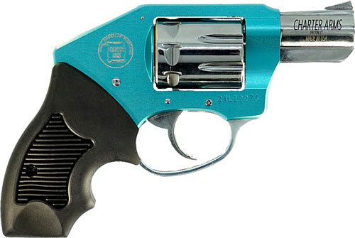 CHARTER ARMS THE WALKER 22 LR