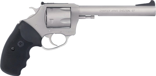 CHARTER ARMS PIT BULL 9MM