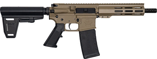 GLFA AR15 PISTOL W/BRACE 223