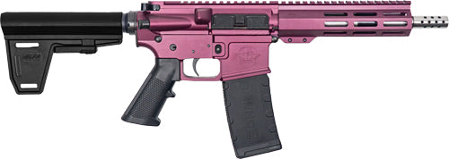 GLFA AR15 PISTOL W/BRACE 223