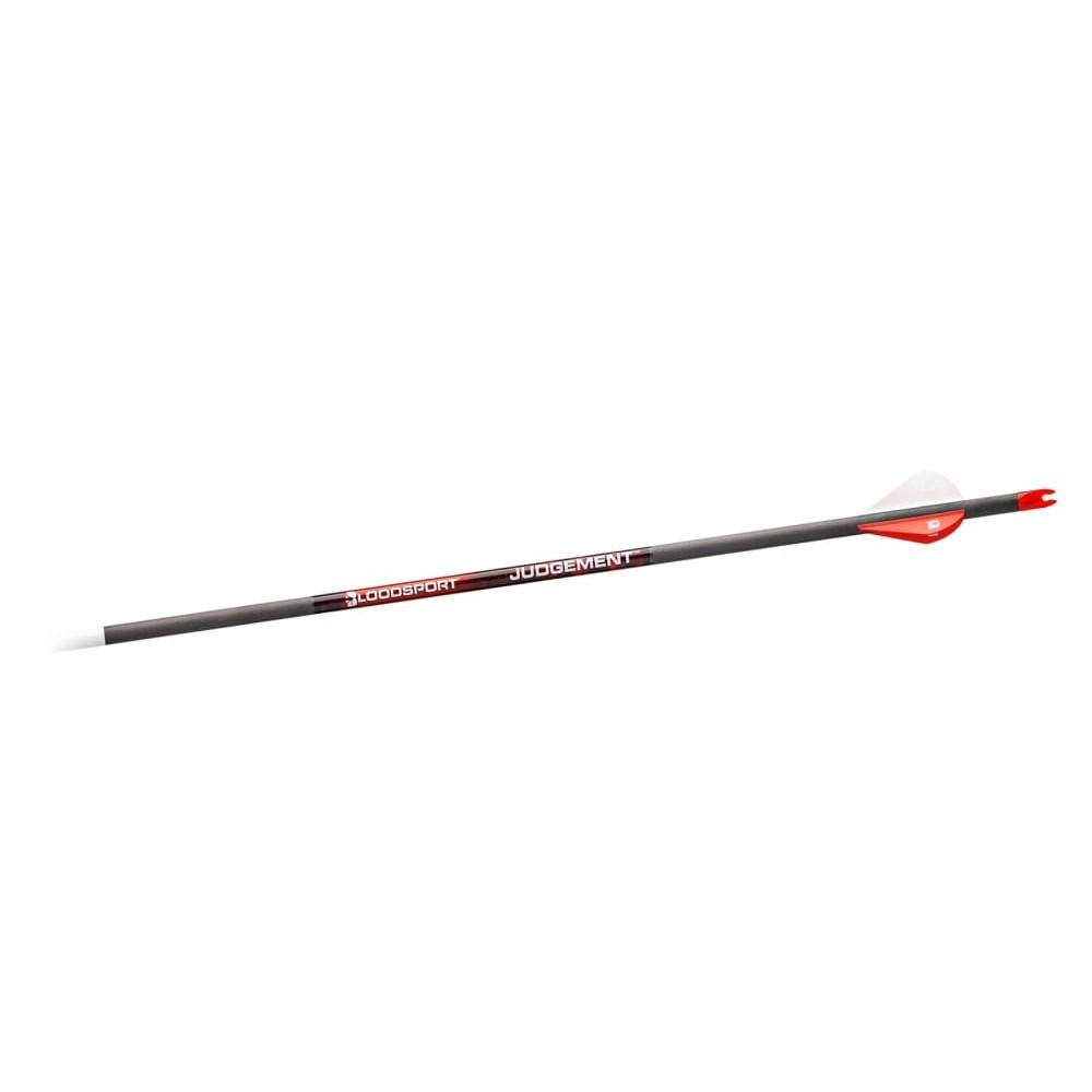 JUDGEMENT ARROW 300 SPINE (6 PACK)