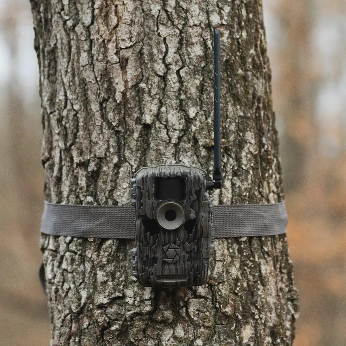STEALTH CAM FUSION MAX / 36MP
