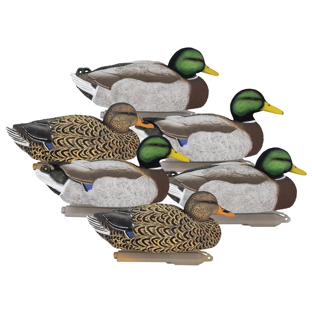 Higdon Legacy Magnum Mallard Feeder Pack, Foam Filled (6pk)