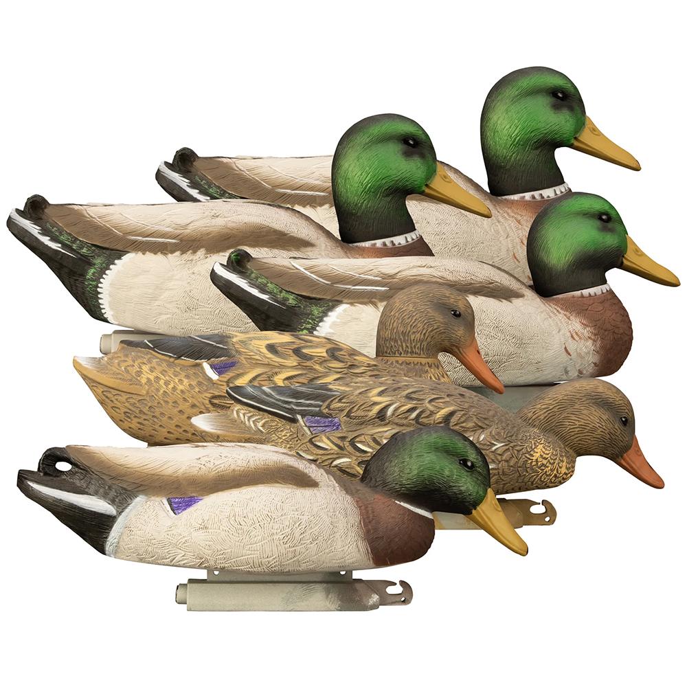 Magnum Mallard Foam Filled 6pk