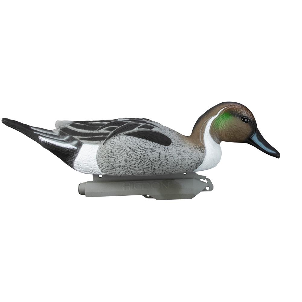 Higdon Outdoors Standard Pintail Foam Filled 6pk