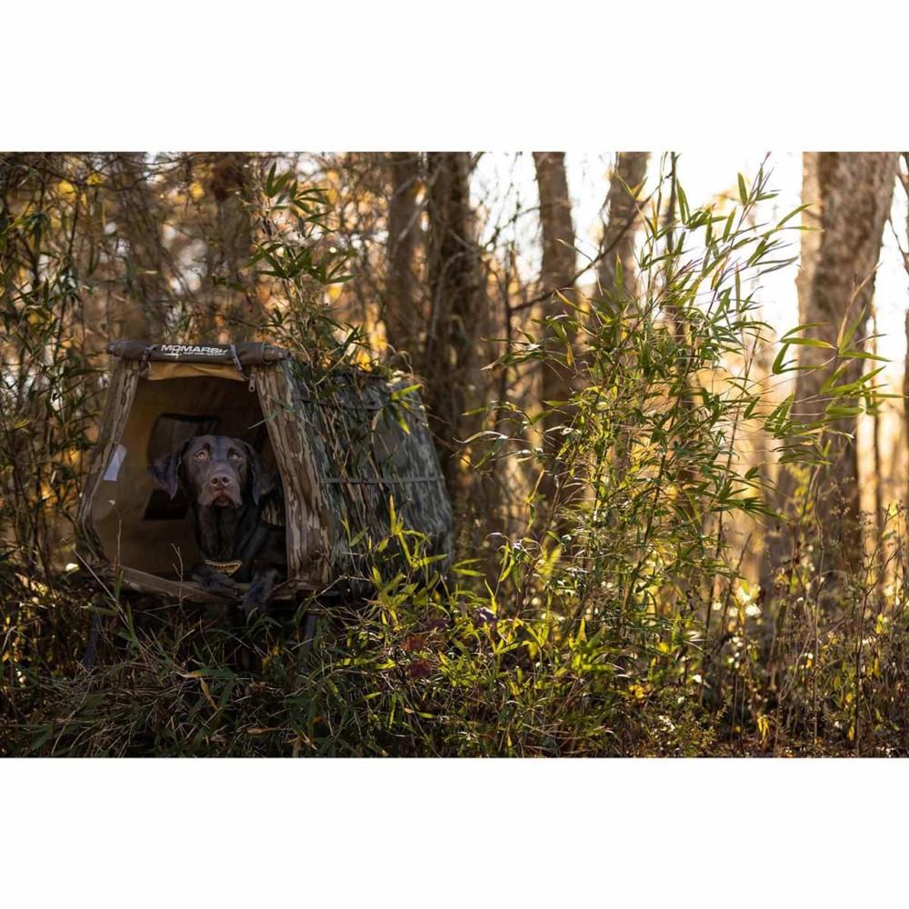 Invisi-Lab (MO Original Bottomland)