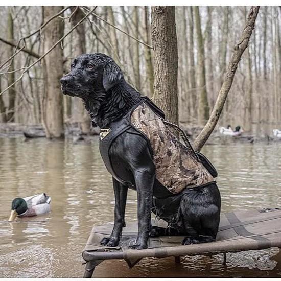 Versa Vest (MO Original Bottomland)