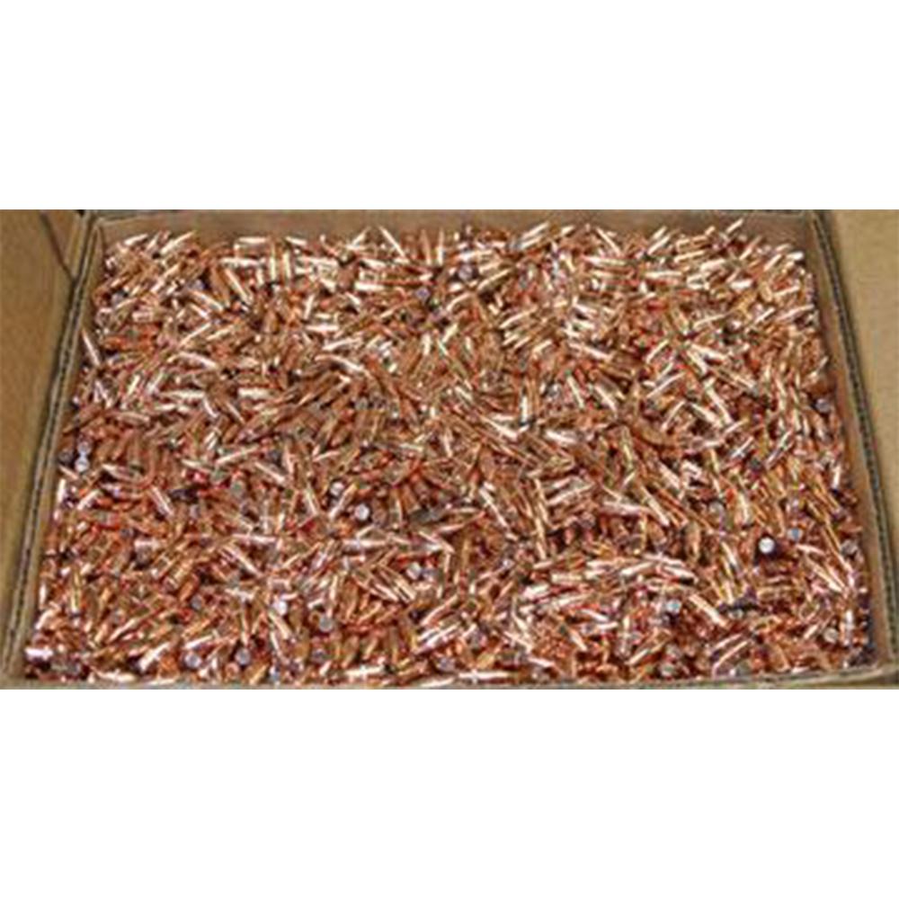 .22 CAL 55GR SP 6000 RD