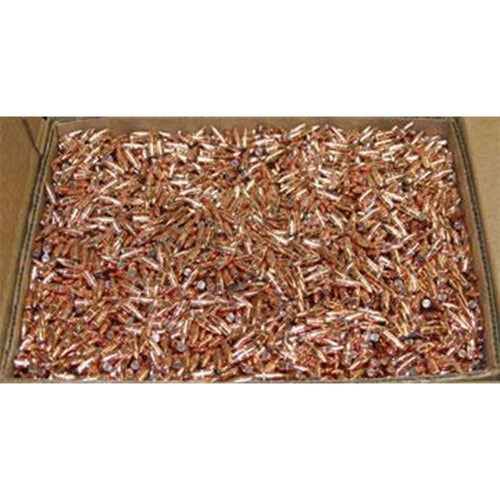 .22 CAL 55GR SP 6000 RD