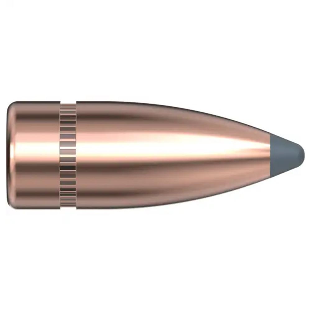 7.62 .310 123GR SP 100 RD BAG