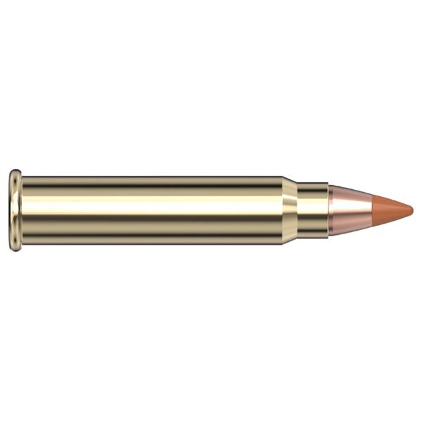 AMMO 17 HMR 15.5GR NTX 50/BOX