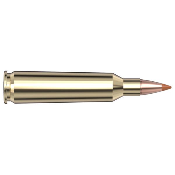 AMMO SUPERFORMANCE .22-250 35G.NTX 20