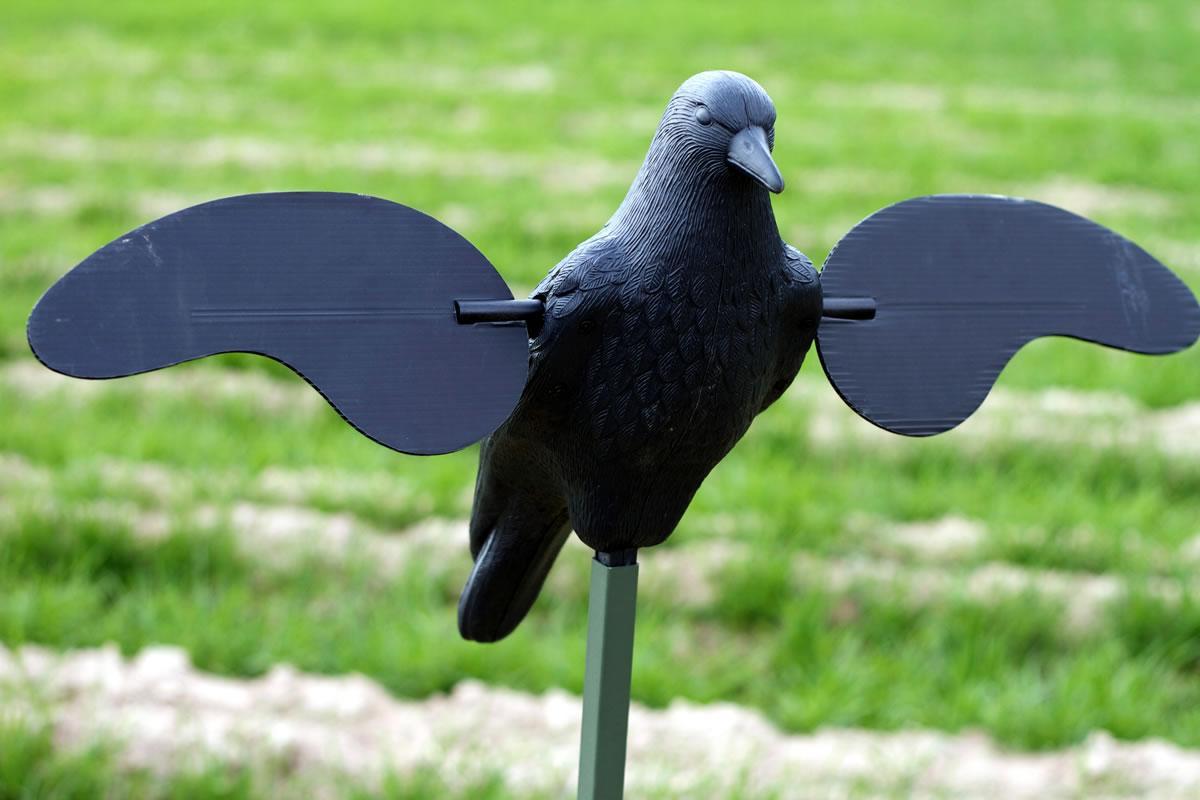 MOJO Crow Decoy