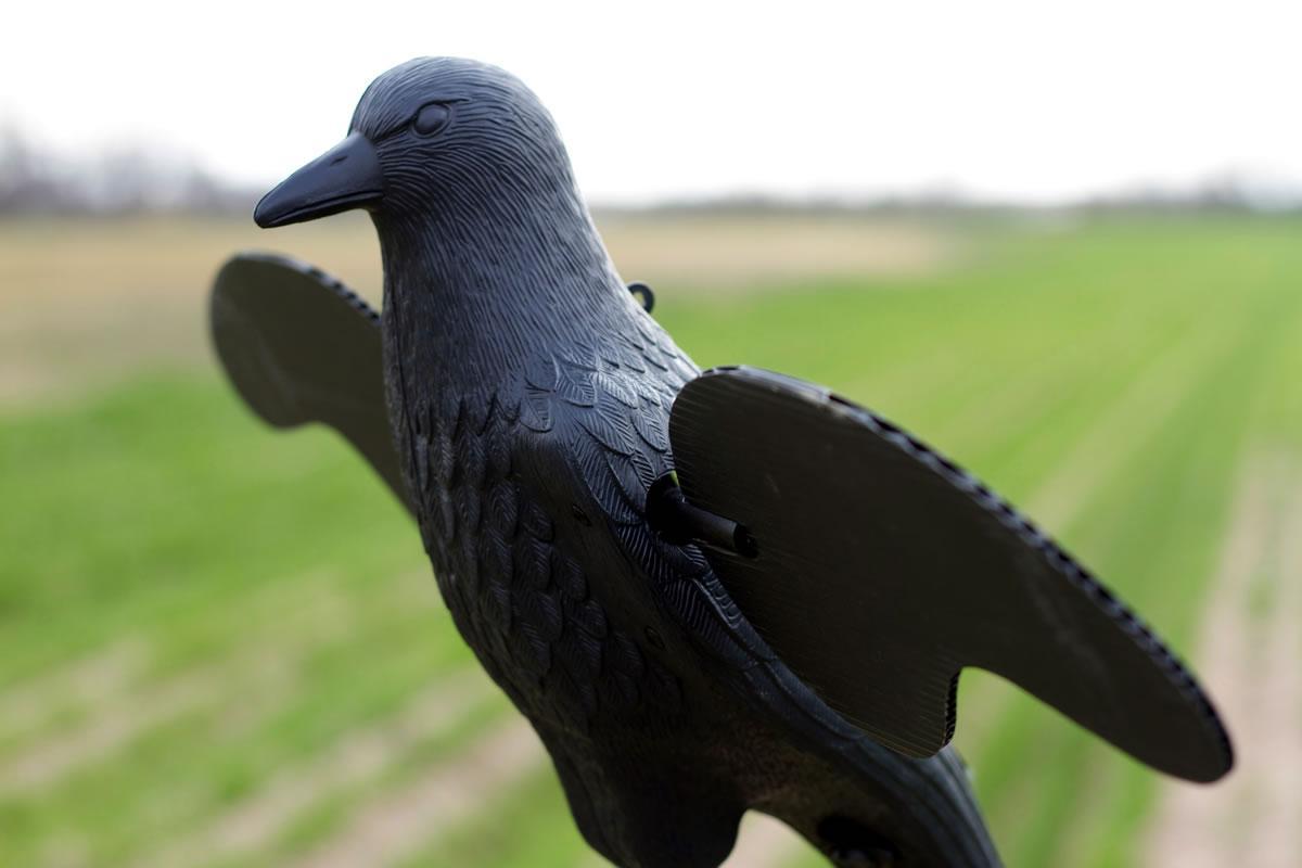 MOJO Crow Decoy