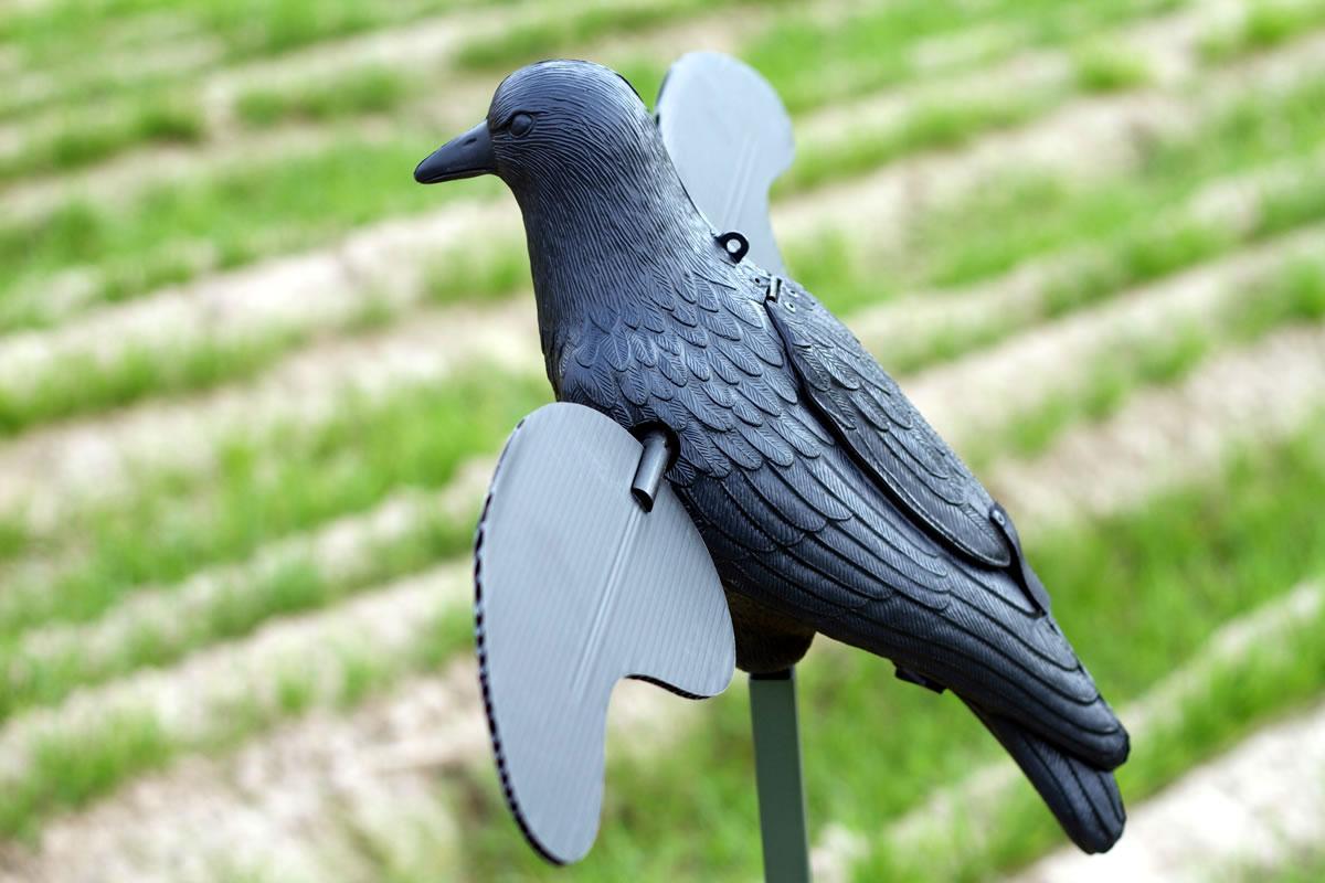 MOJO Crow Decoy