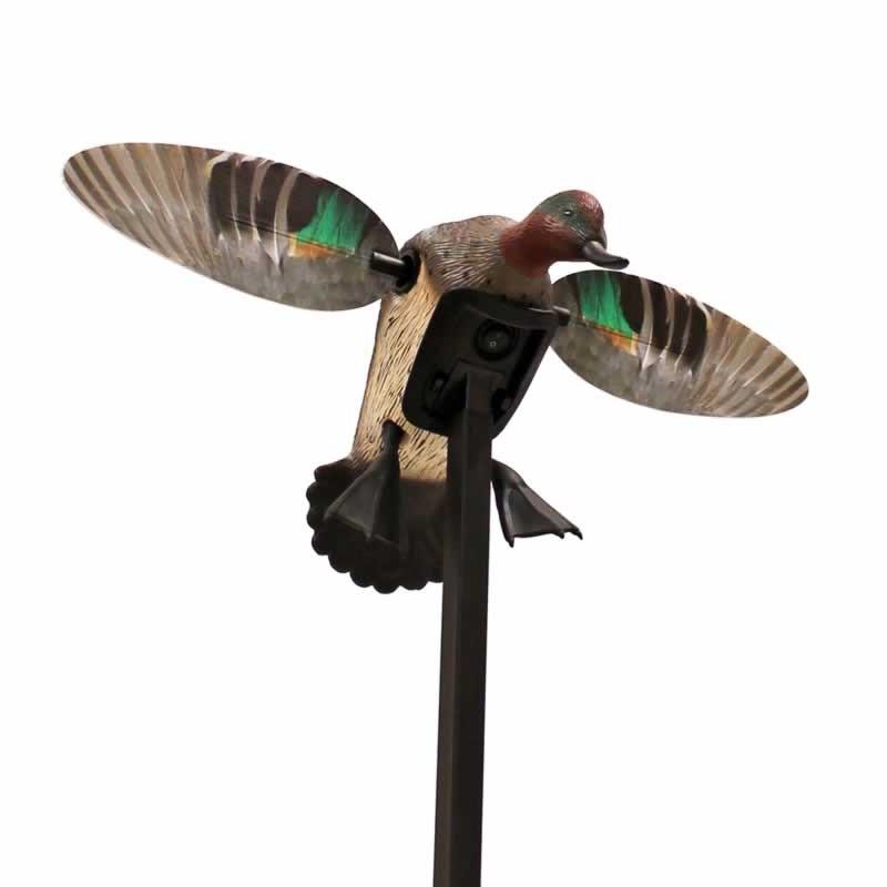 MOJO ES - Green Wing Teal
