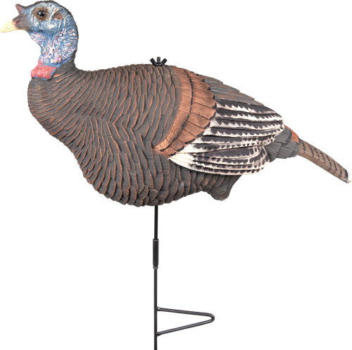 KNIGHT AND HALE LOOKOUT HEN