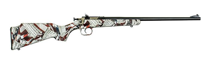 AMENDMENT BLUED .22LR  SYNTHETIC STOCK HYDRODIPPED