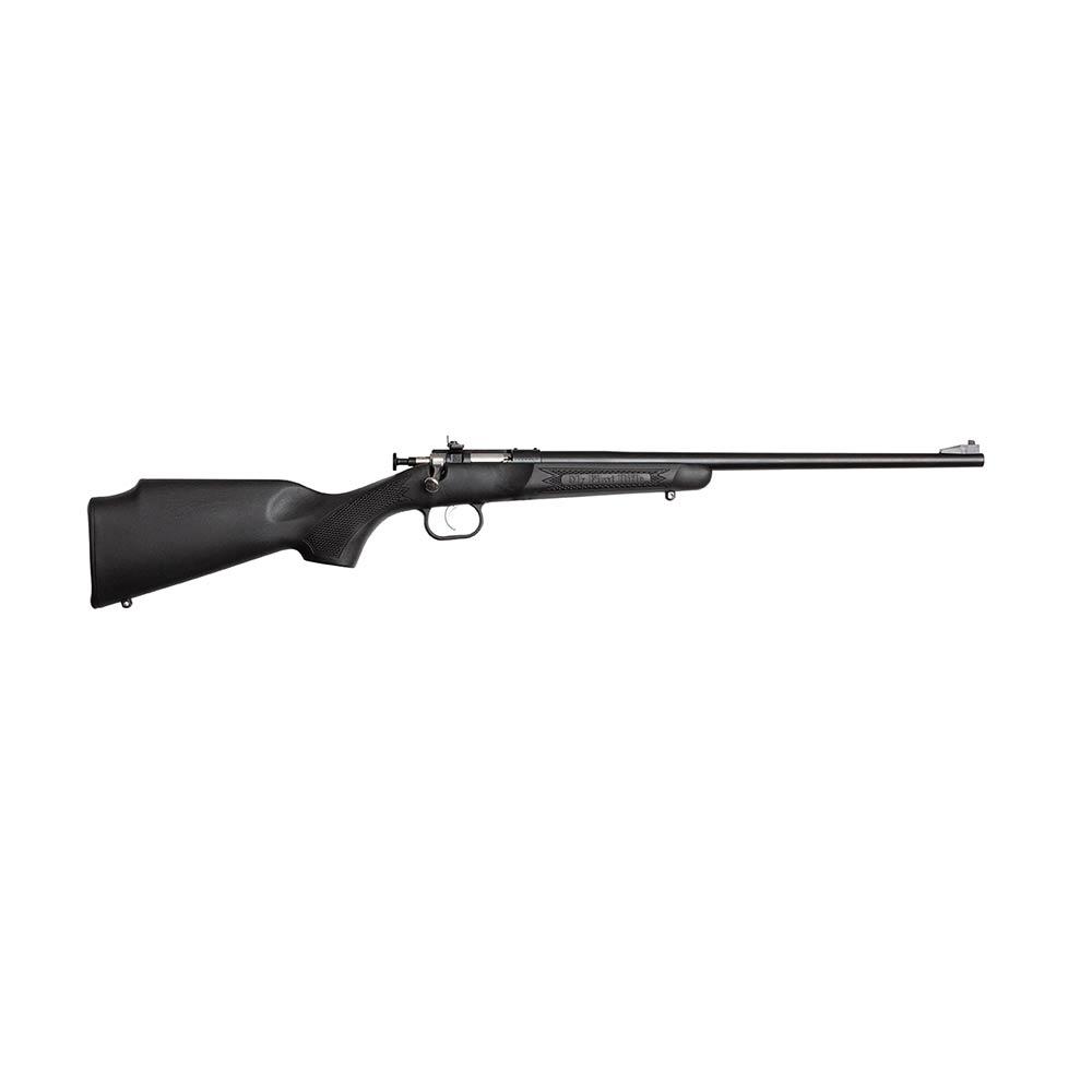 Crickett 22WMR Blue Black Syn Stk