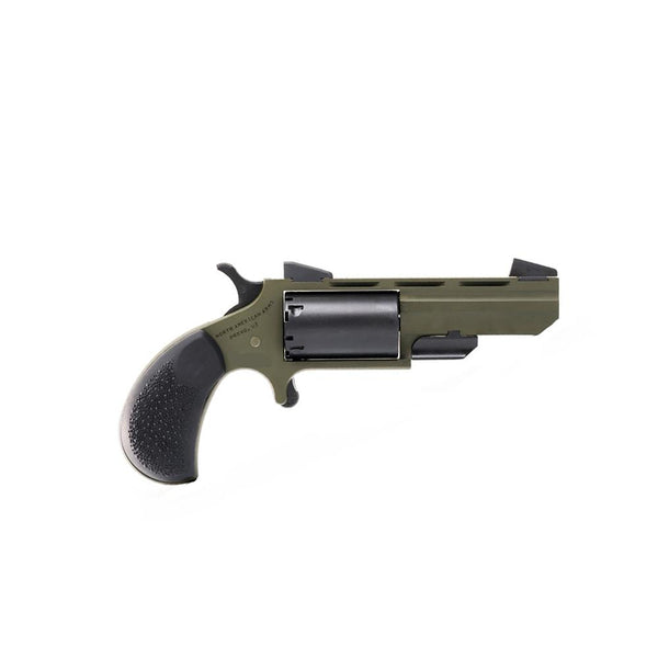 .22 WMR