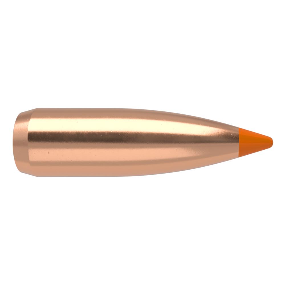 22CAL 55GR BALLISTIC TIP 1000ct