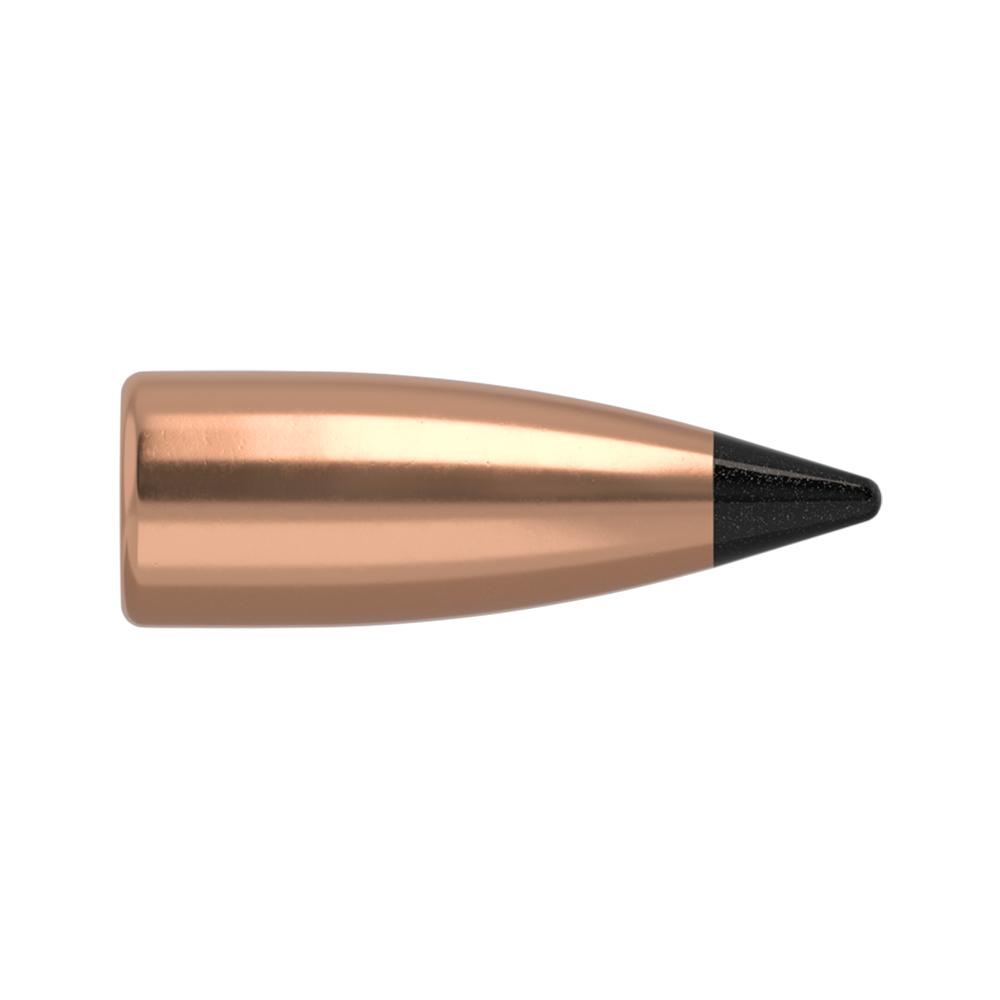 22cal 40gr varmageddon FB tip(10
